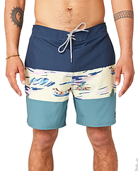 Шорты пляжные мужские Rip Curl Divided