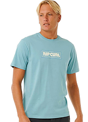 Футболка мужская Rip Curl Big mumma