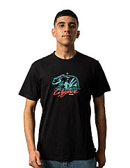 Футболка мужская Rip Curl Desti animals