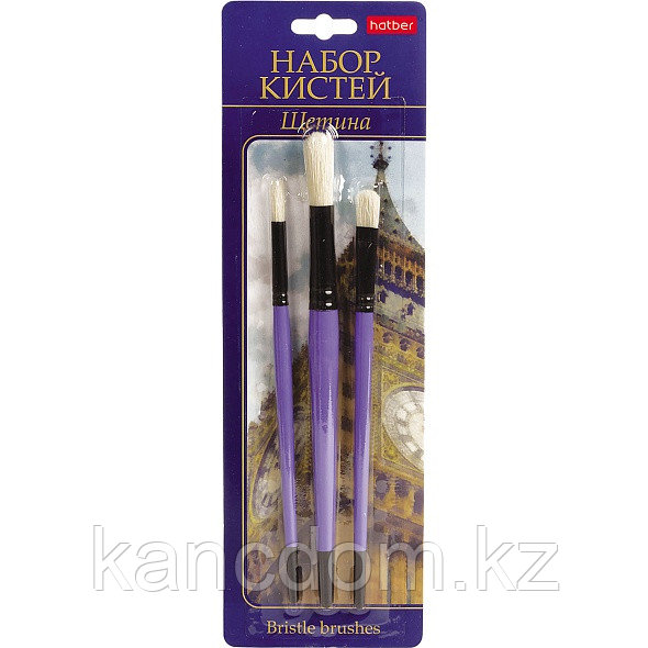 Кисти набор 3шт Hatber Щетина, кругл.№7,12 плоская №12 KSn_30903