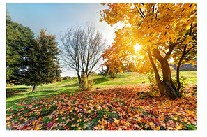 НОВИНКИ СЕНТЯБРЯ