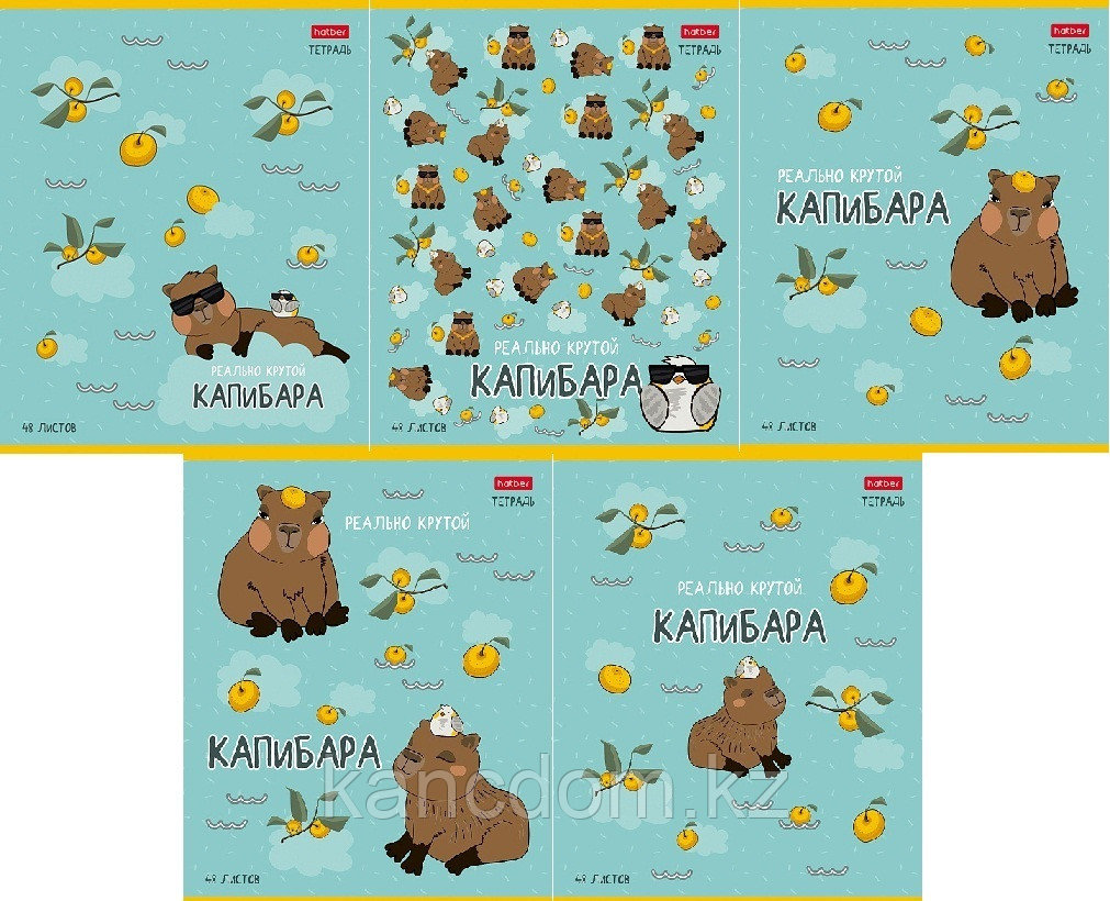 Тетрадь А5 48л клетка Hatber "Реально крутой Капибара" 48Т5В1