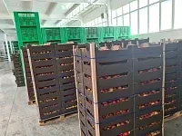 Агрохолод построил плодохранилище в Кабардино-Балкарии