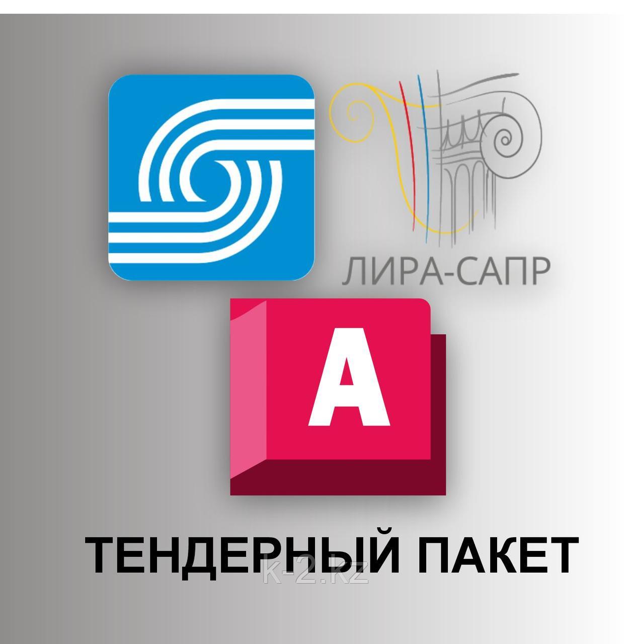 ТЕНДЕРНЫЙ ПАКЕТ