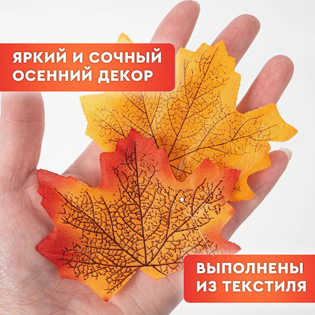 Қоғамдық көлікте қыздарды қудалау Берковамен онлайн бағдарламаларды қараңыз