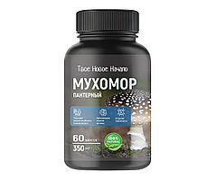 Пантерный мухомор, 60 капсул