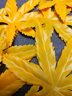 Жағажайдағы үлкен жопаның фотосы Жағажайдағы үлкен жопаның фотосы