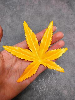 Менің бастығымның порно видеосы