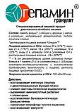 Гепамин, 60 tab, АКАДЕМИЯ-Т, фото 2