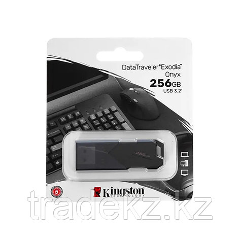 USB-накопитель Kingston DTXON/256GB 256GB, фото 1