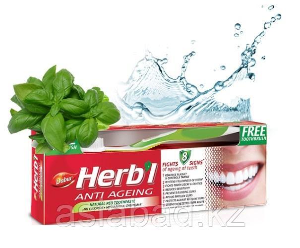 Dabur Herb I - Зубная паста с щеткой Антивозрастная, фото 1