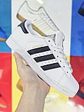 Кроссовки Adidas Superstar White ЛЮКС Качество, фото 5