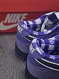 Кроссовки Nike Dunk Low Люкс Качество, фото 4