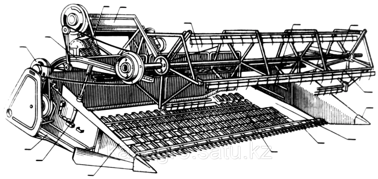Проктологтың қабылдауындағы жыныстық қатынас туралы бейне