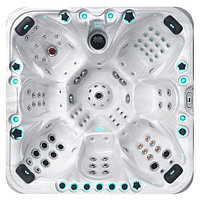 Passion Spas | SPA Excite Mighty Wave 122 Гидромассажный спа бассейн Размеры 224x224x91 см