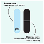 Закладки магнитные для книг, 3шт., MESHU "Adventure", фото 5