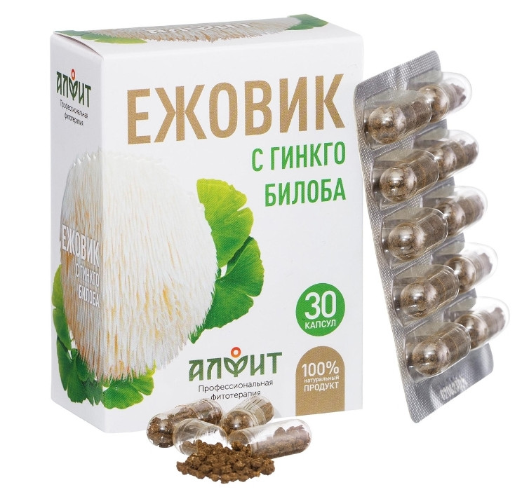 Ежовик с Гинкго билоба