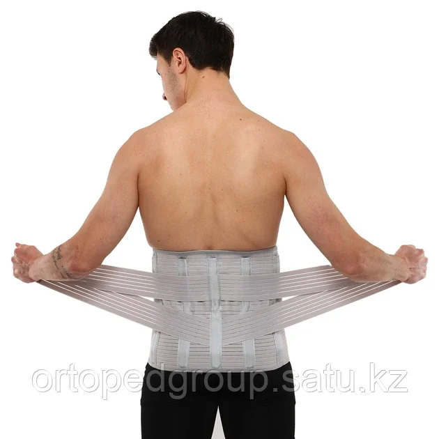 Белдіктері бар мүше