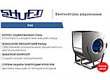 Вентилятор радиальный RAD-2-RHP-2,2-3000-R-0, фото 3