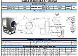 Вентилятор радиальный RAD-2-RHP-2,2-3000-R-0, фото 3
