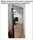 Двери скрытого монтажа с зеркалом INVISIBLE h 2300, фото 5