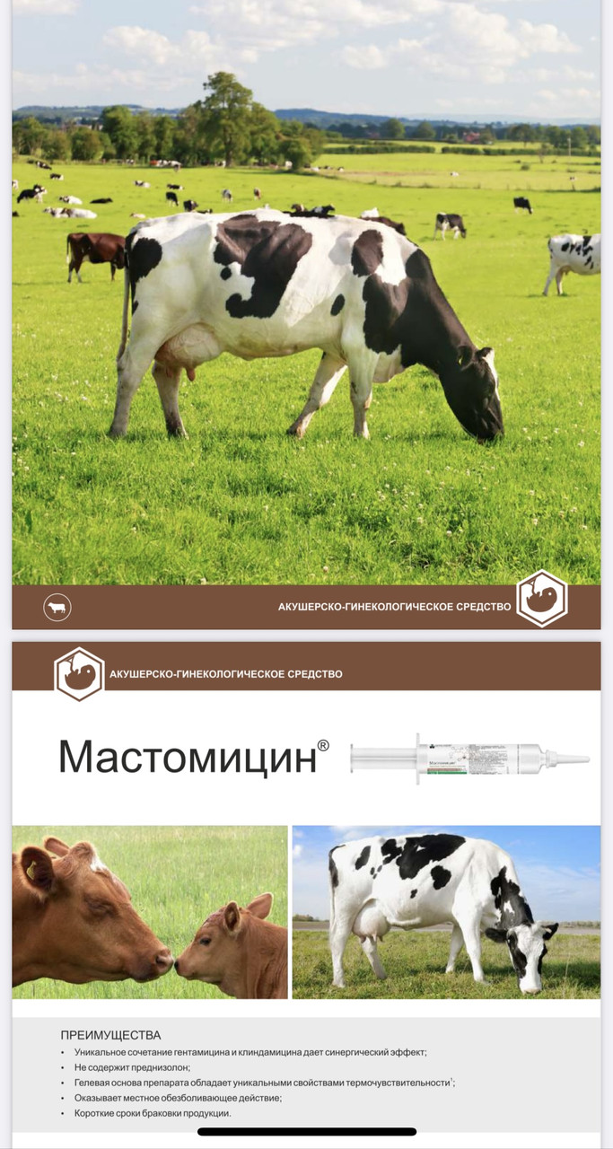Мастомицин 10 мл шприц-гель от мастита (гентамицин+клиндамицин+лидокаин)