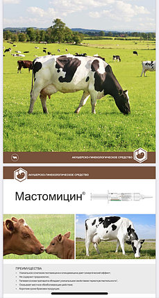 Мастомицин 10 мл шприц-гель от мастита (гентамицин+клиндамицин+лидокаин), фото 1