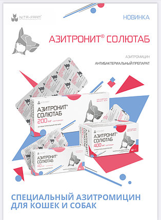 Азитронит Солютаб 40мг ,5таб, фото 2