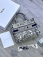 Сумка модная Christian Dior Paris
