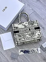 Сумка Christian Dior Book Tote Paris