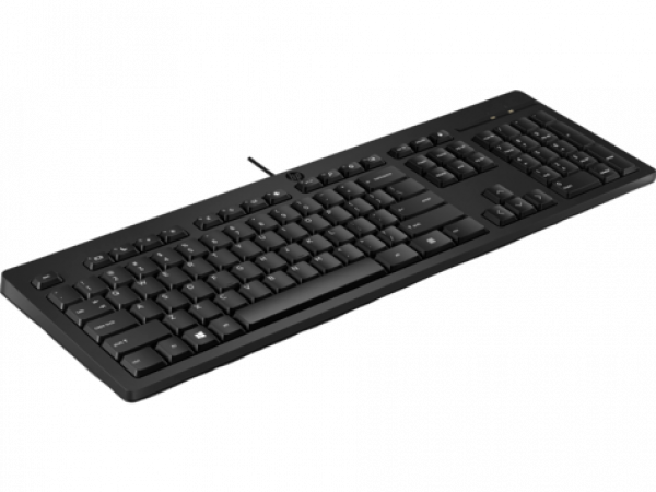 hp Клавиатура HP 125 USB Wired Keyboard 266C9A6