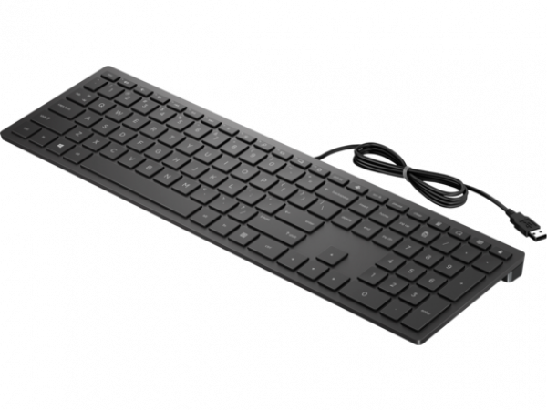 hp USB Клавиатура HP 4CE96AA Pavilion Wired Keyboard 300 KZHT