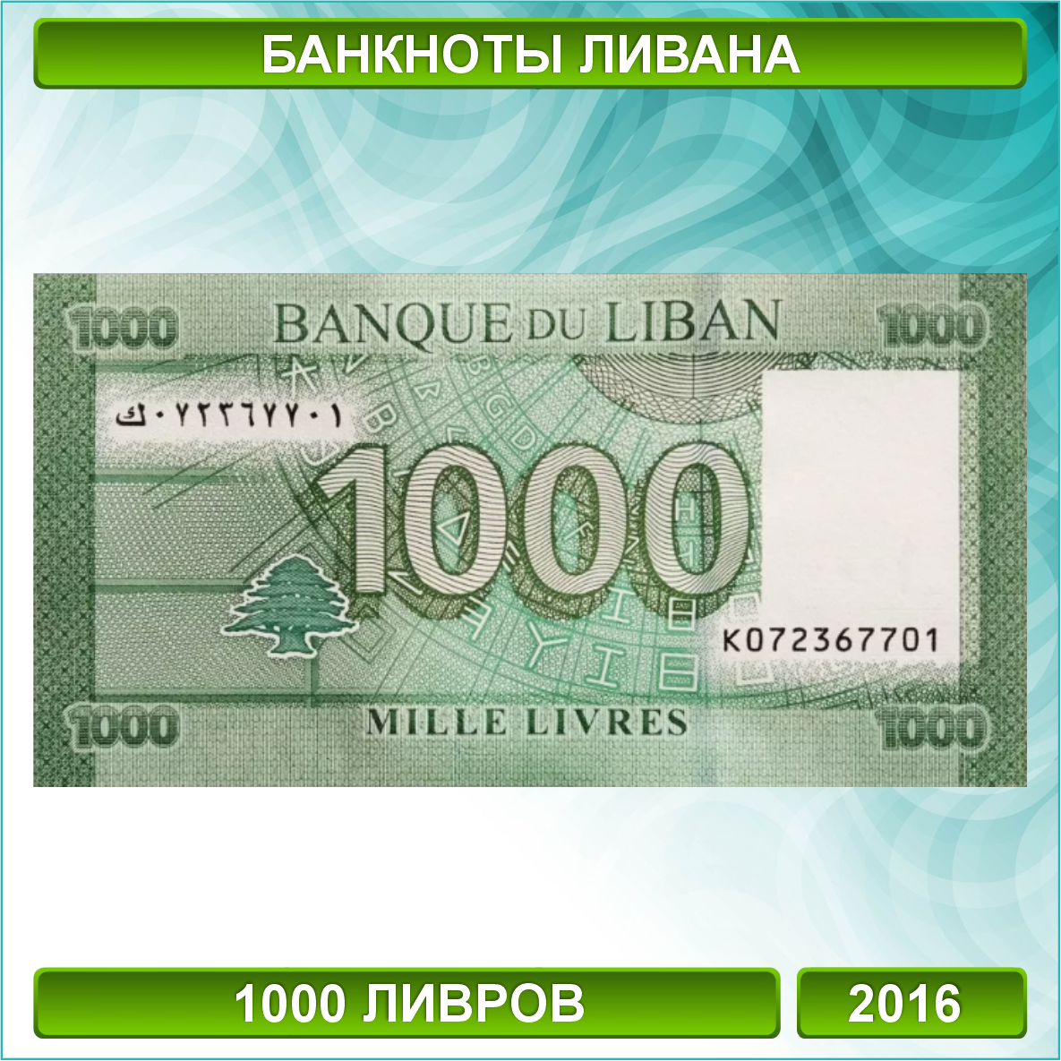 Банкнота 1000 ливров (Ливан 2016), фото 1