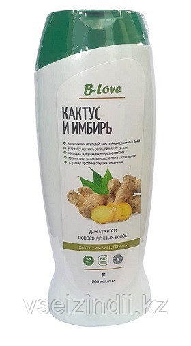 Шампунь Кактус и Имбирь, для сухих и поврежденных волос, B-Love, 200 мл