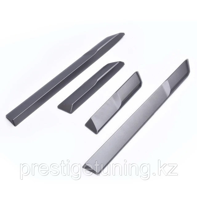 Дверные молдинги на Land Cruiser Prado 250 2023-по н.в (Серебро), фото 1