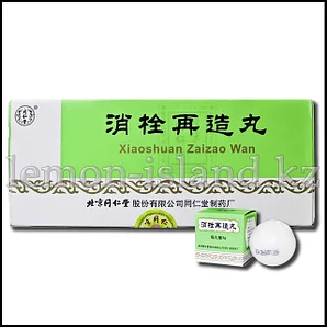 Мозг и сердечно-сосудистая система