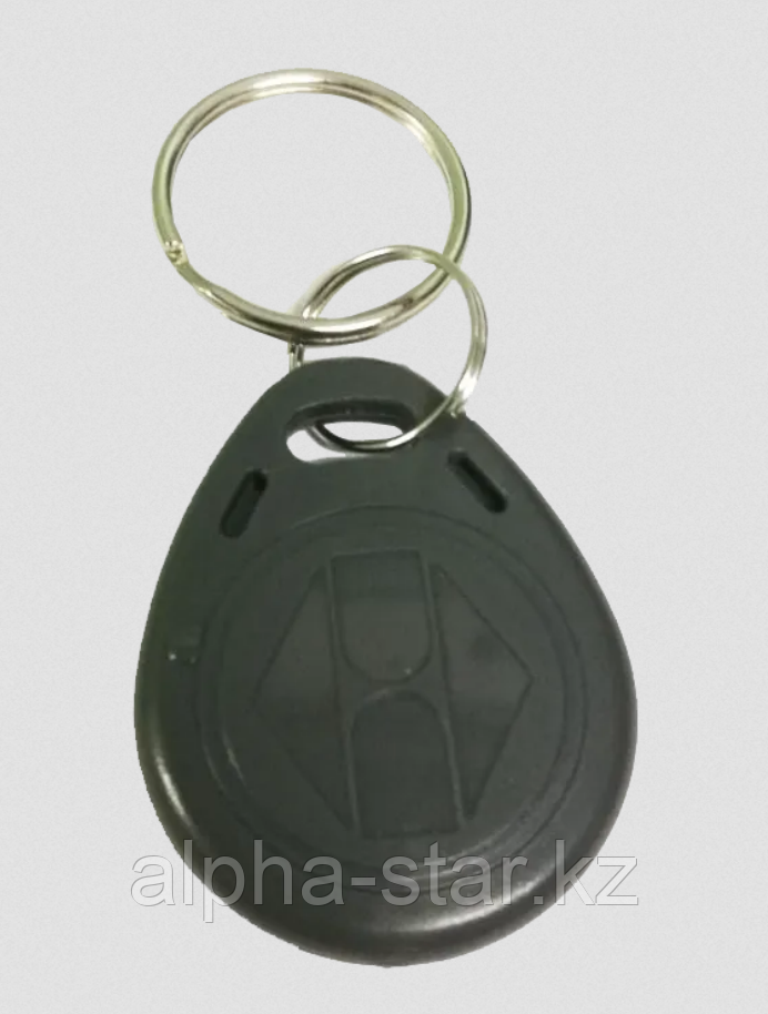 Брелок EM-Marine RFID чип T5577 ключ заготовка, пустышка, фото 1