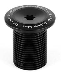 Болт в вилку SCS/HIC Ethic (Torx fork top screw)