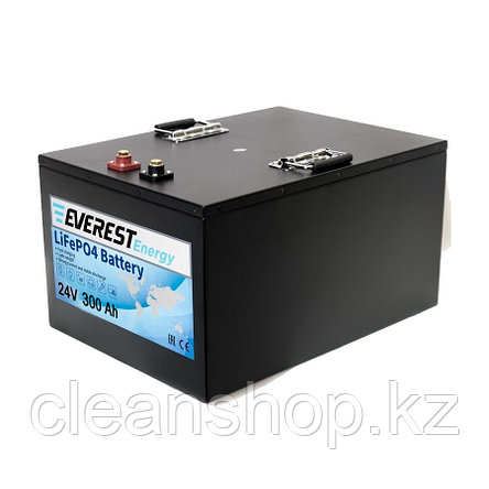 Аккумулятор тяговый Everest LFP-24V300Аh Li-Ion (LiFePo4), фото 2