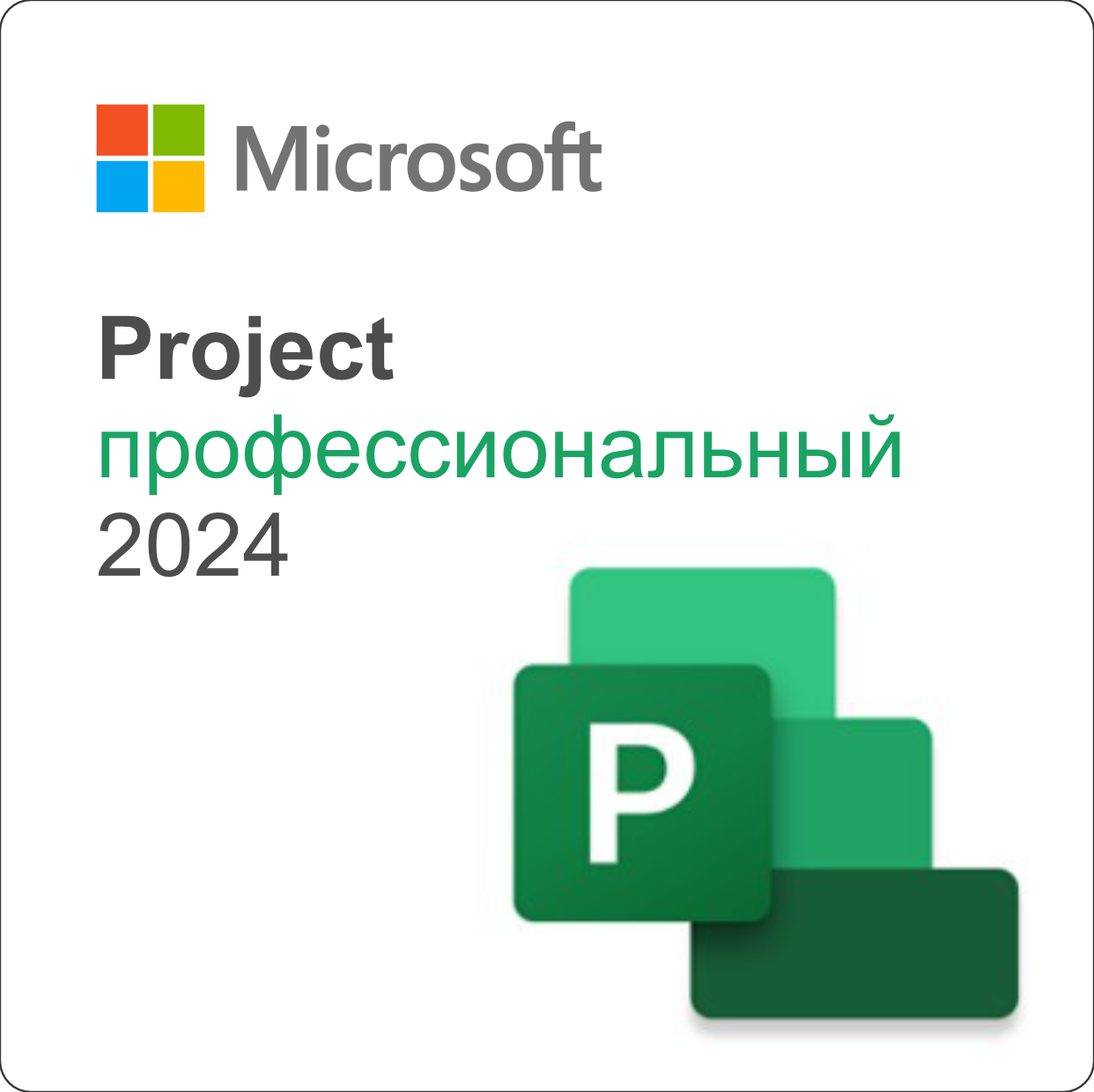 Project профессиональный 2024. Бесрочная лицензия ESD