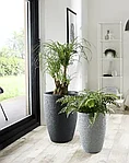 Горшки цветочные модель Barceo High 299/40 | Scheurich, фото 5