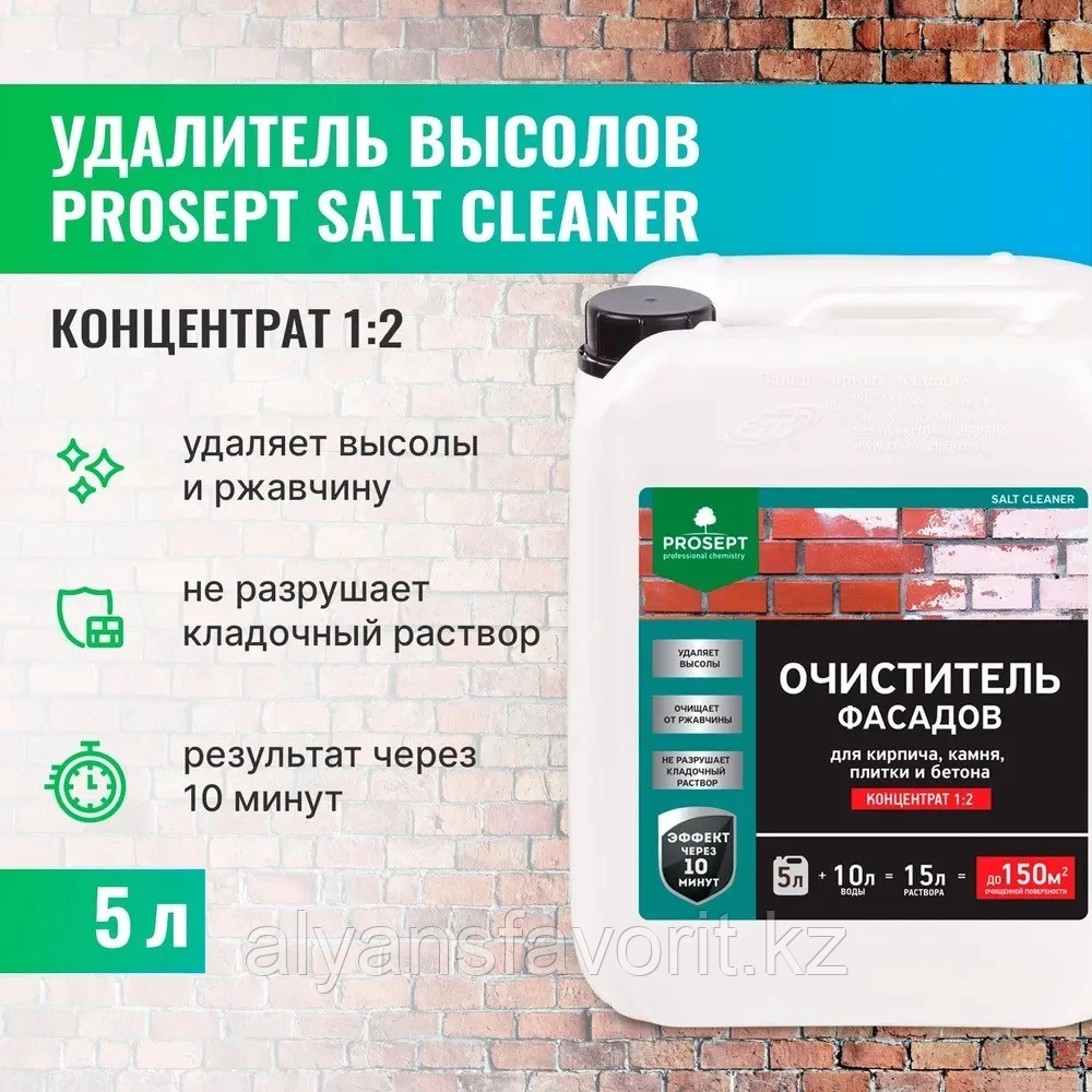 SALT CLEANER - удалитель высолов и солевых отложений  (концентрат). 5 литров до 150 кв.м