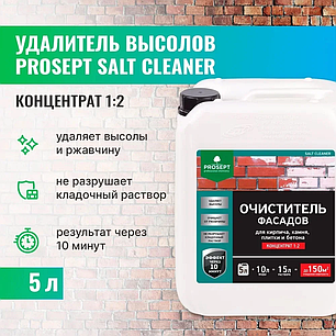 SALT CLEANER - удалитель высолов 5 литров -(концентрат). РФ, фото 1