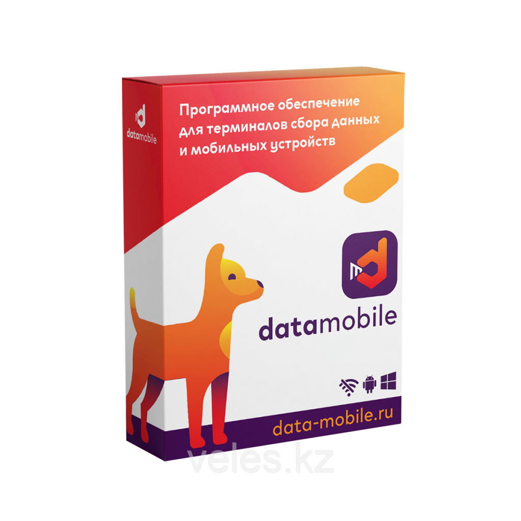 DataMobile