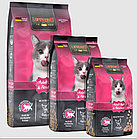 753805 Leonardo Adult Light, Леонардо корм для кошек с избыточным весом, уп.300гр.