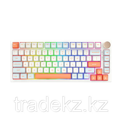 Клавиатура VGN N75RGB 30287 Jelly Orange Tactile, фото 3