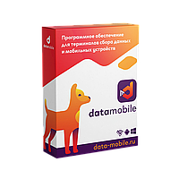 DataMobile Стандарт