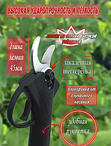 Электросекатор аккумуляторный для деревьев и кустов, фото 4