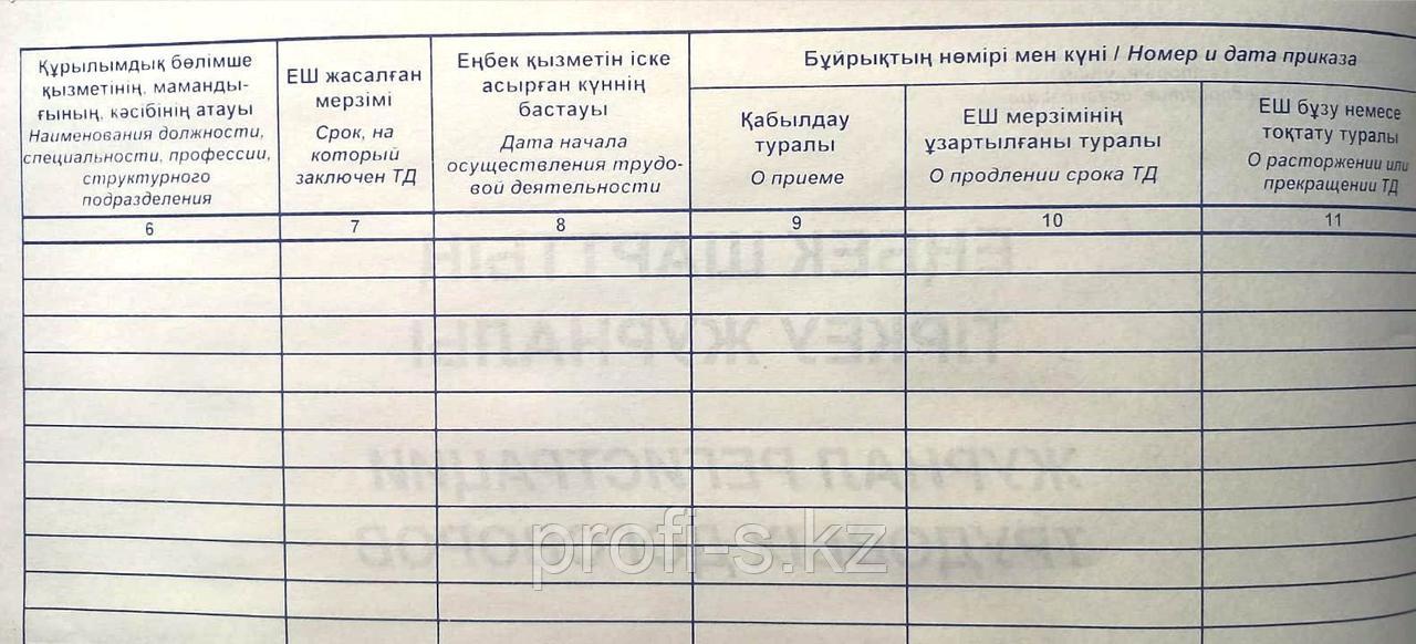 Ол өзінің кискасына үлкен дилдо жабыстырды