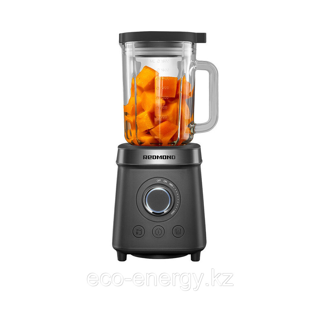 Redmond стационарлық блендері BS410